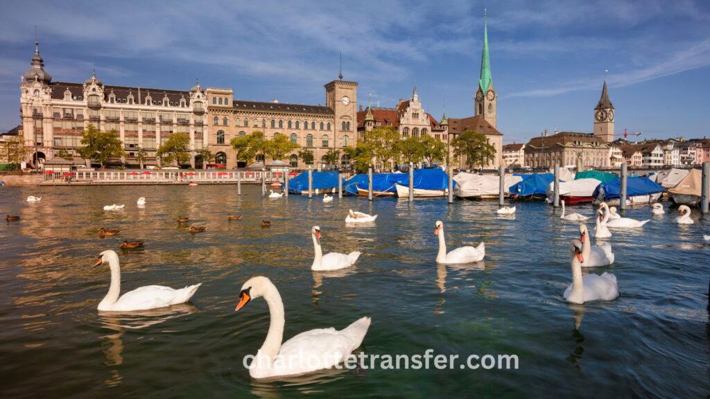 Car Rental with Driver in Zurich